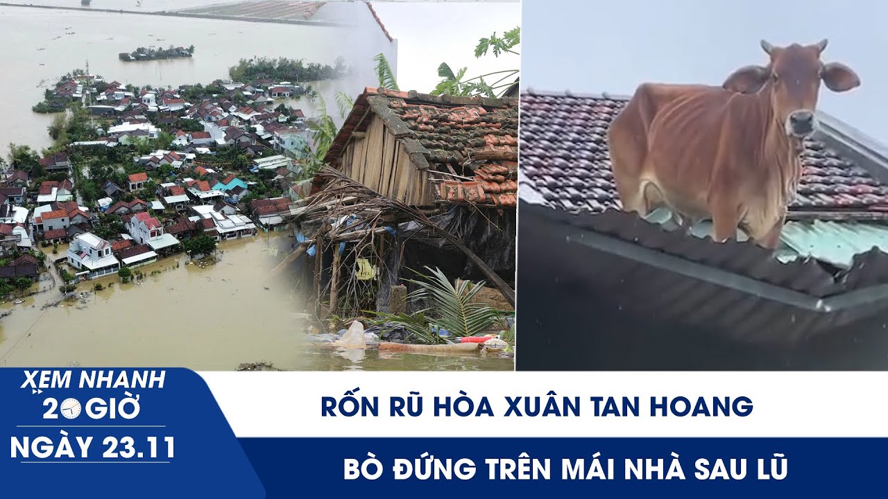 XEM NHANH 20H 23/11: Rốn rũ Hòa Xuân tan hoang | Xúc động hình ảnh bò đứng trên mái nhà sau lũ
